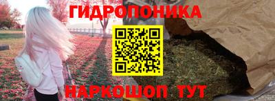 spice Рузаевка